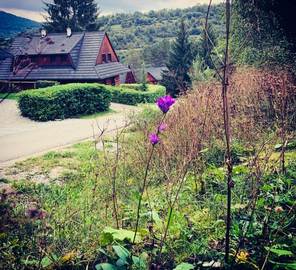 Villa Drevenica Uhorcik Terchová Exterior foto
